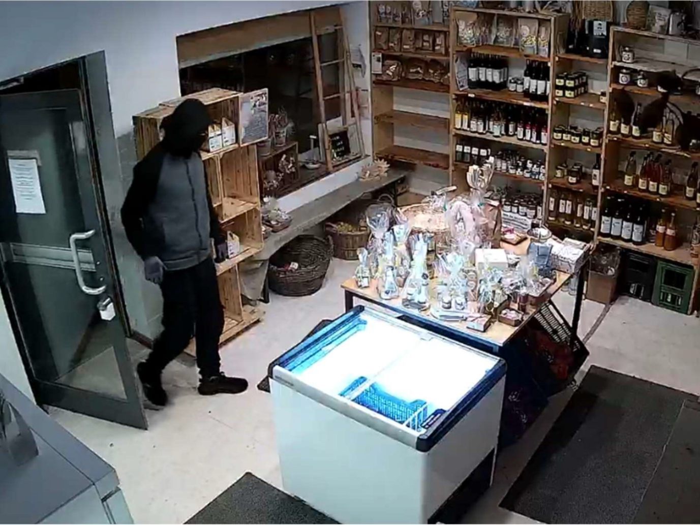 Die Polizei NÖ konnte zwei Einbrecher dank Videomaterial fassen.
