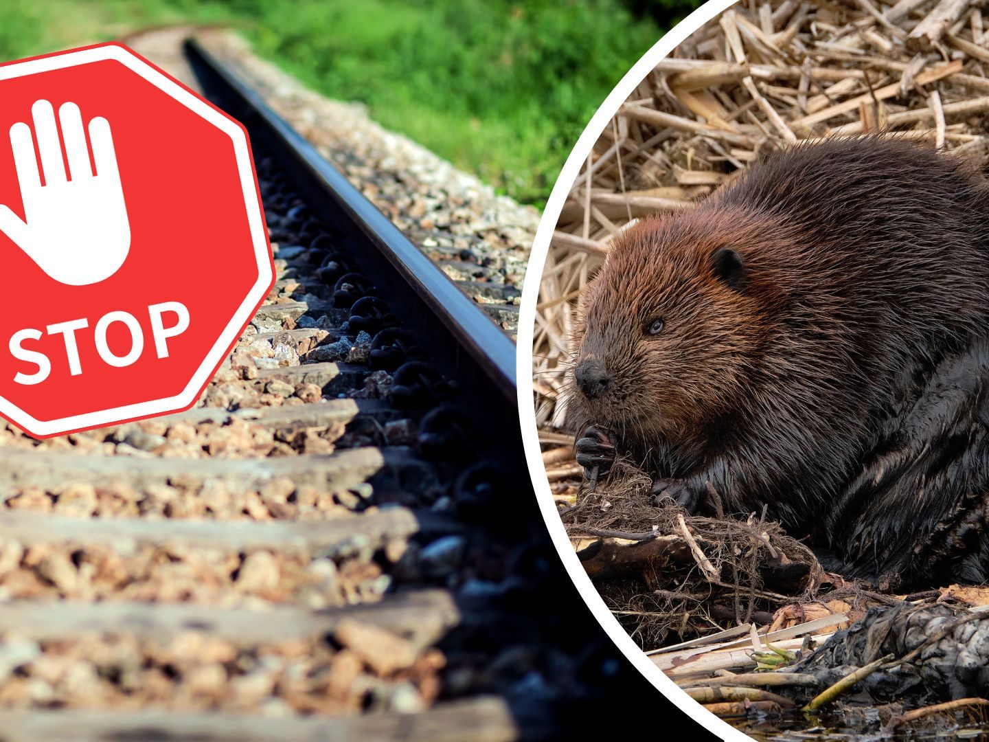 Auch das Kleinwalsertal ist derzeit vom Bahnverkehr abgeschnitten
