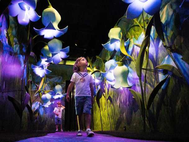 Wien Modern zeigt Alice Reise ins Wunderland. Wien Modern zeigt Alice Reise ins Wunderland.