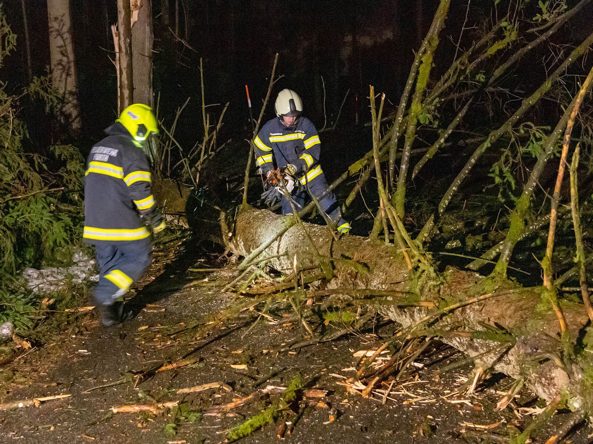 Die Feuerwehren waren wegen dem Sturm gefordert. Die Feuerwehren waren wegen dem Sturm gefordert.