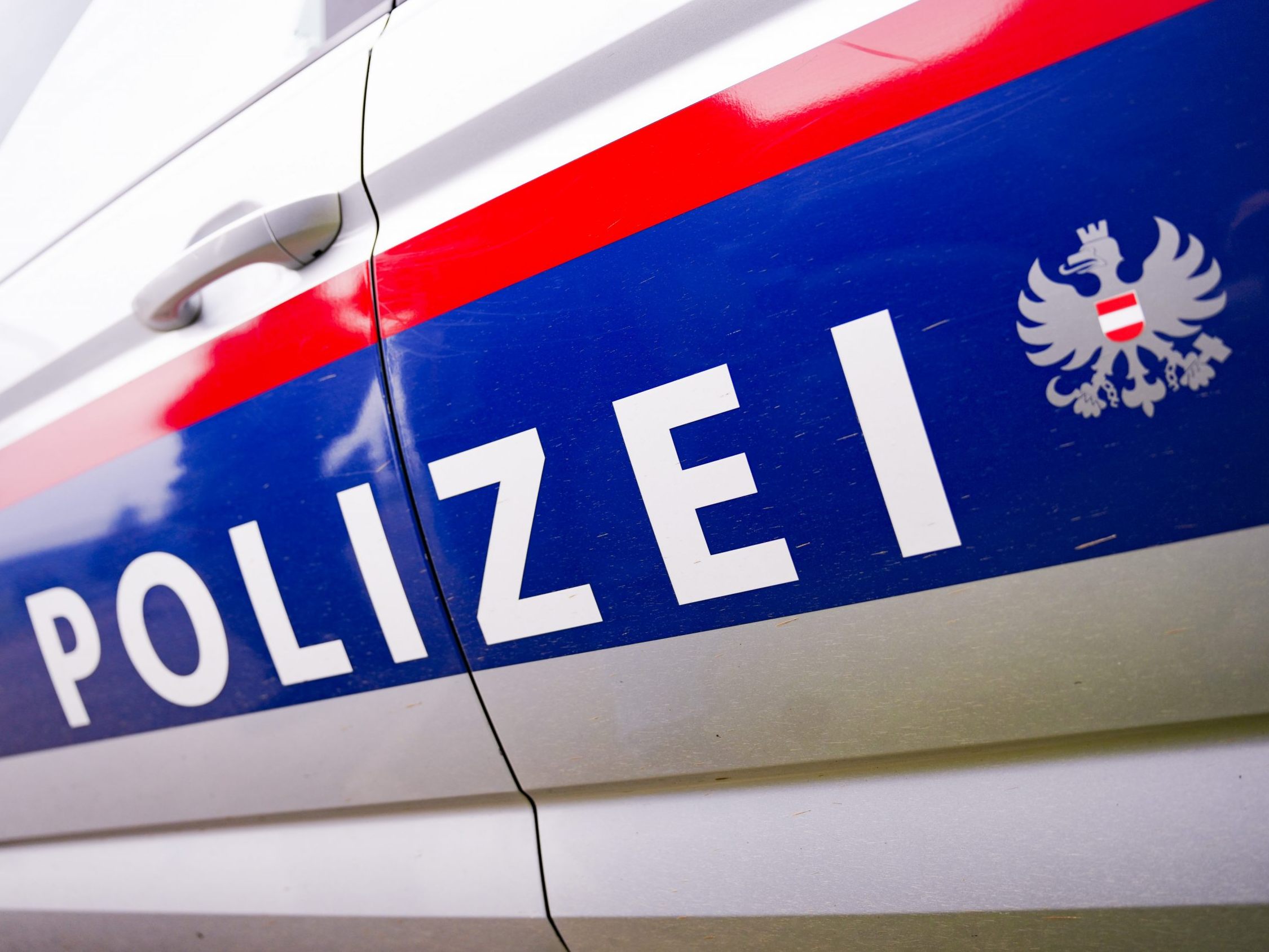 Die Wiener Polizei sucht nach dem Verdächtigen.