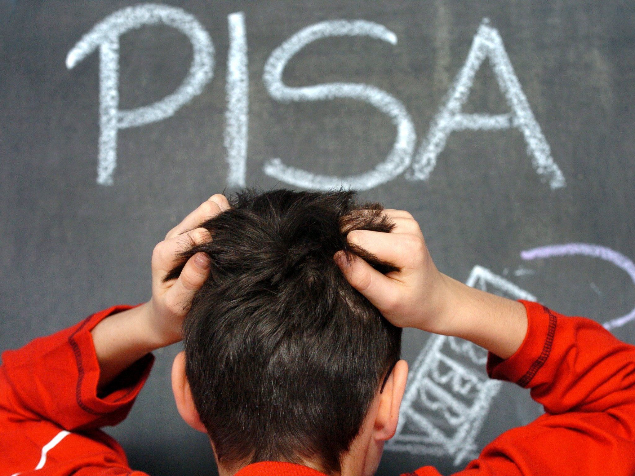 Bei PISA steht nicht das Faktenwissen im Vordergrund, sondern die Anwendung bestimmter Kompetenzen auf praxisnahe Aufgaben.