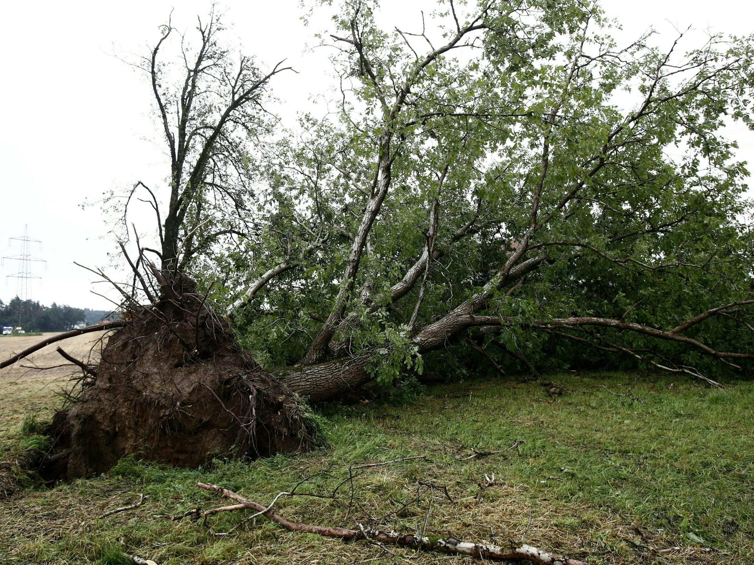 Der Sturm sorgte von Tirol bis Niederösterreich für hunderte Feuerwehreinsätze. Der Sturm sorgte von Tirol bis Niederösterreich für hunderte Feuerwehreinsätze.