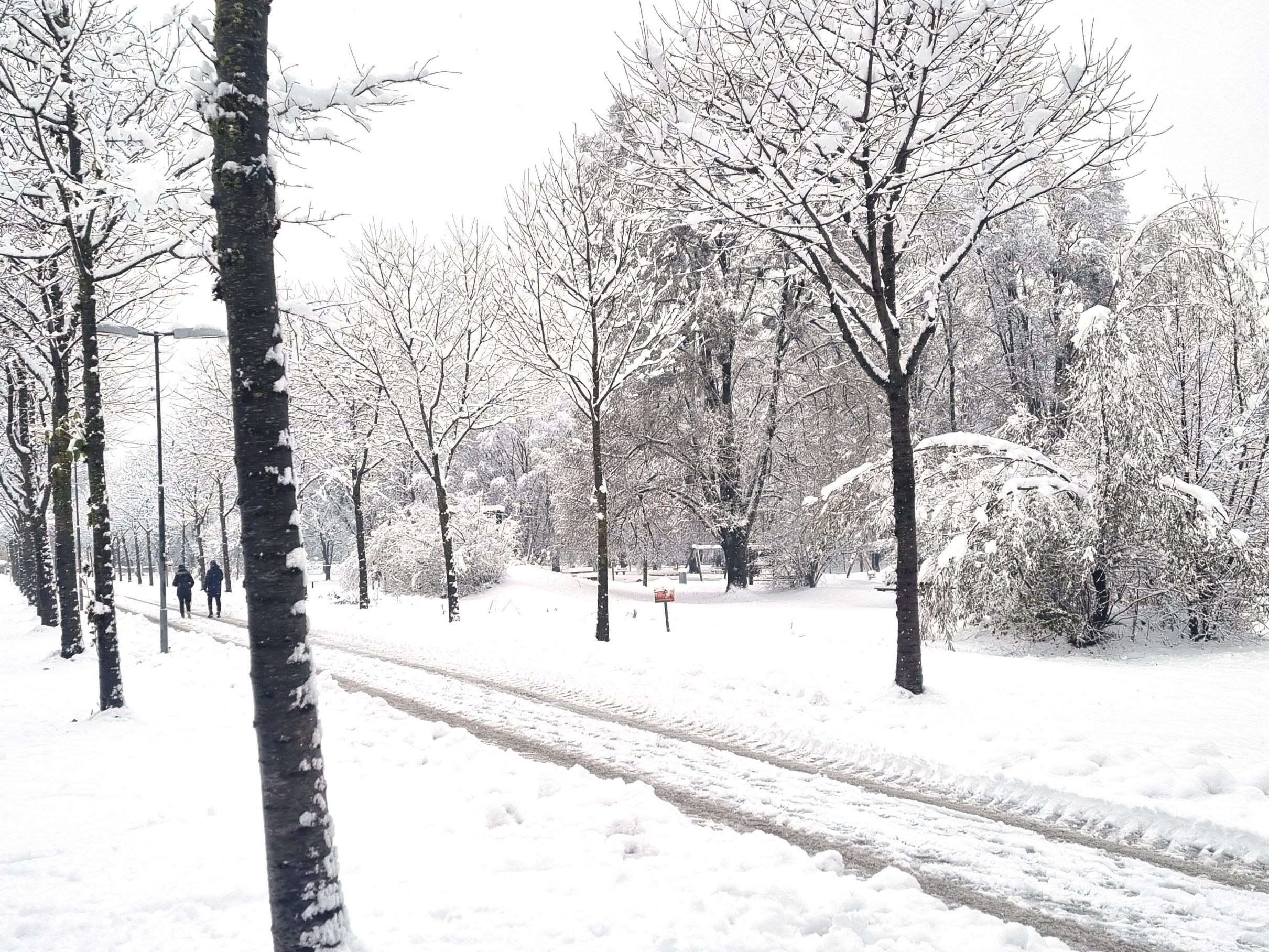 Ergiebiger Schneefall sorgte am Samstag in weiten Teilen Österreichs für Chaos. Ergiebiger Schneefall sorgte am Samstag in weiten Teilen Österreichs für Chaos.