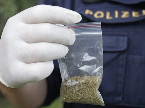 In NÖ ist ein Cannabis-Dealer aufgeflogen.