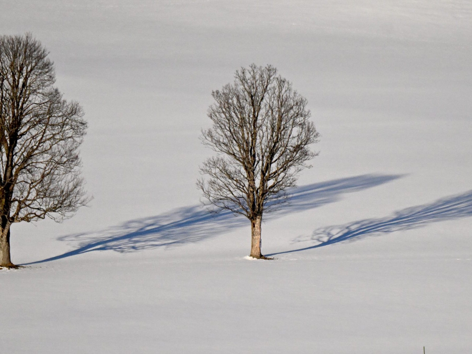 Wintersaison ist da. Wintersaison ist da.