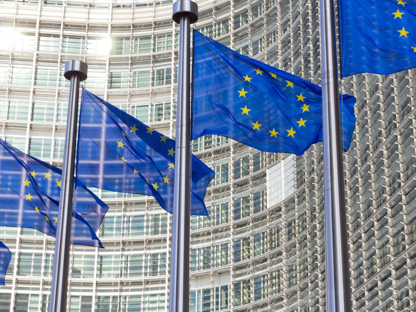 Experten sehen eine gute Themenlage für die FPÖ bei der EU-Wahl.