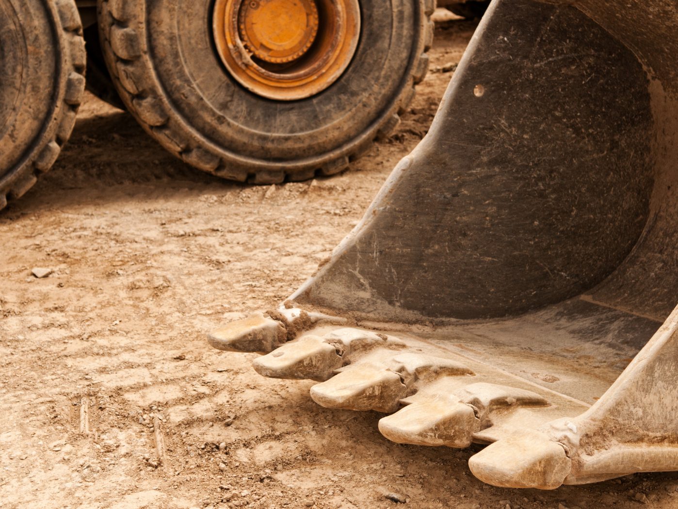 Gegner der Ostumfahrung Wiener Neustadt errichteten ein Baumhaus.