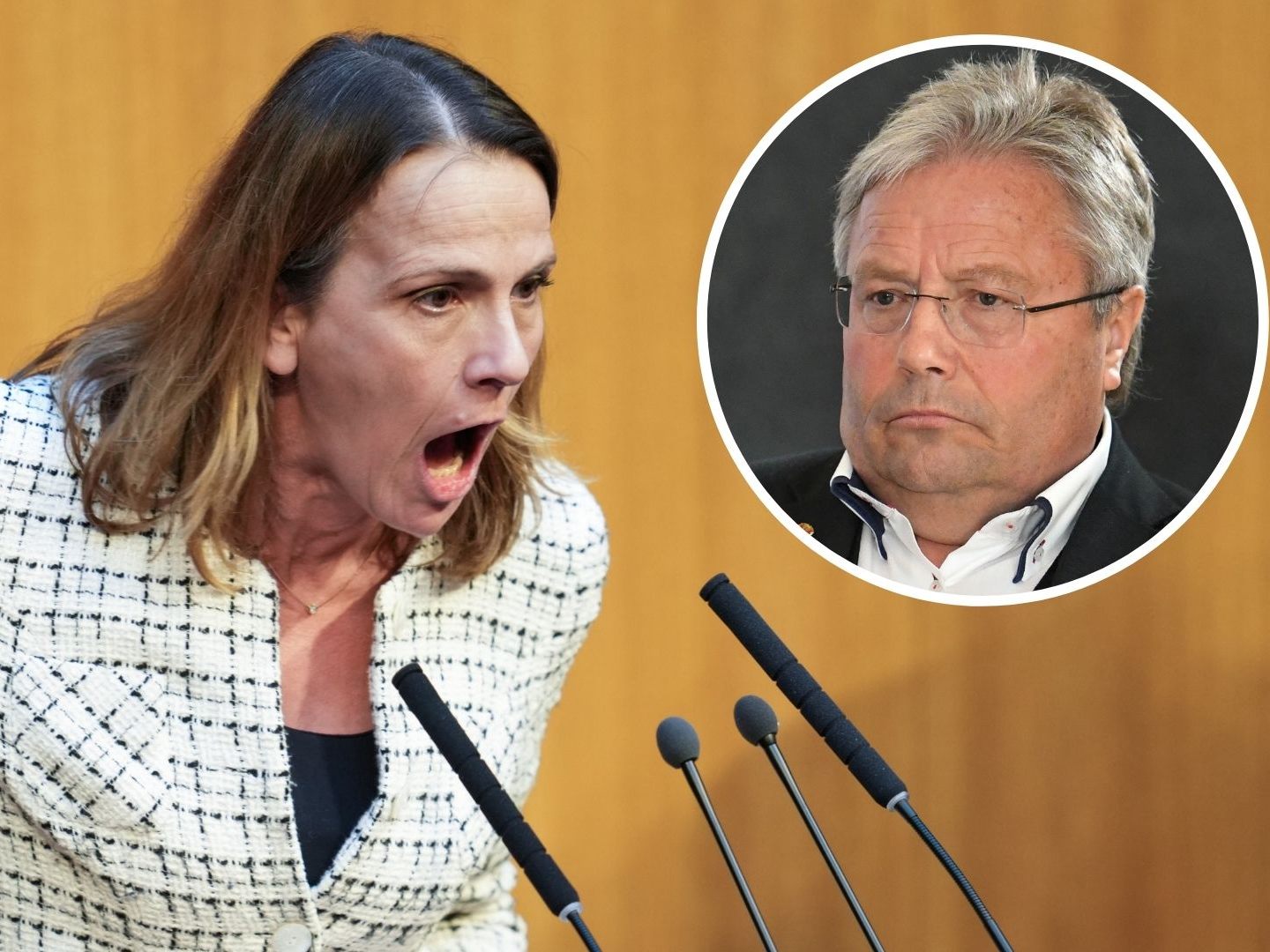 Hörls Vorschlag stößt auf scharfe Kritik aus der FPÖ. Hörls Vorschlag stößt auf scharfe Kritik aus der FPÖ.