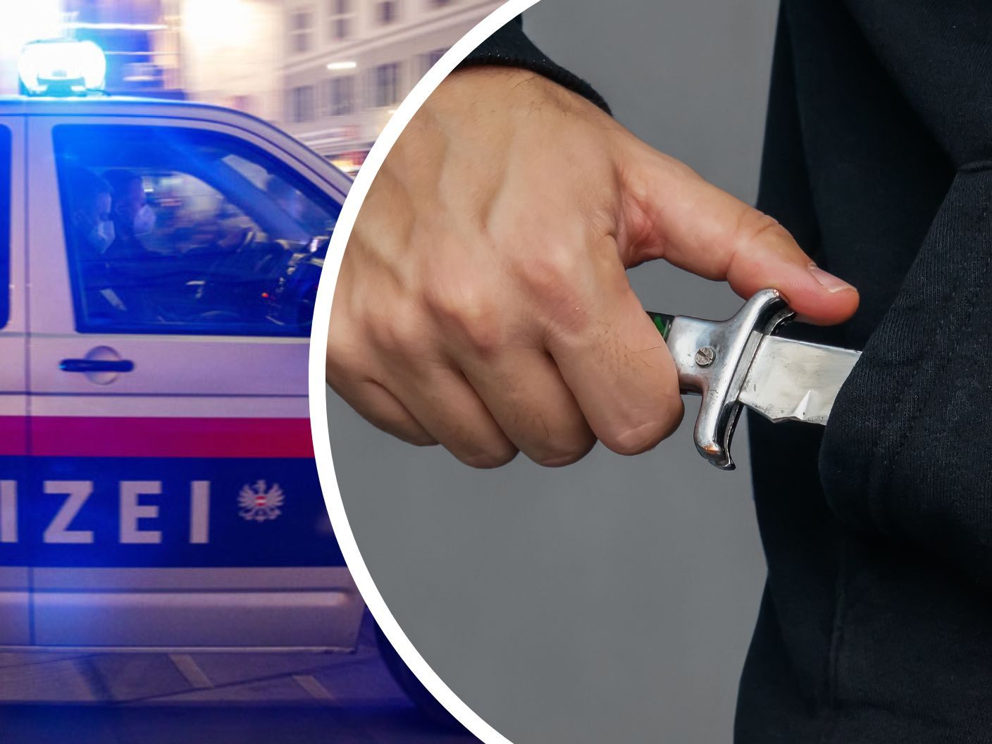 Ein Dieb zückte in Wien-Landstraße ein Messer und bedrohte damit die Mitarbeiter einer Lebensmittelfiliale. Ein Dieb zückte in Wien-Landstraße ein Messer und bedrohte damit die Mitarbeiter einer Lebensmittelfiliale.
