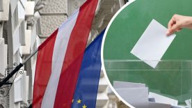 Das bringt das "Superwahljahr" 2024.