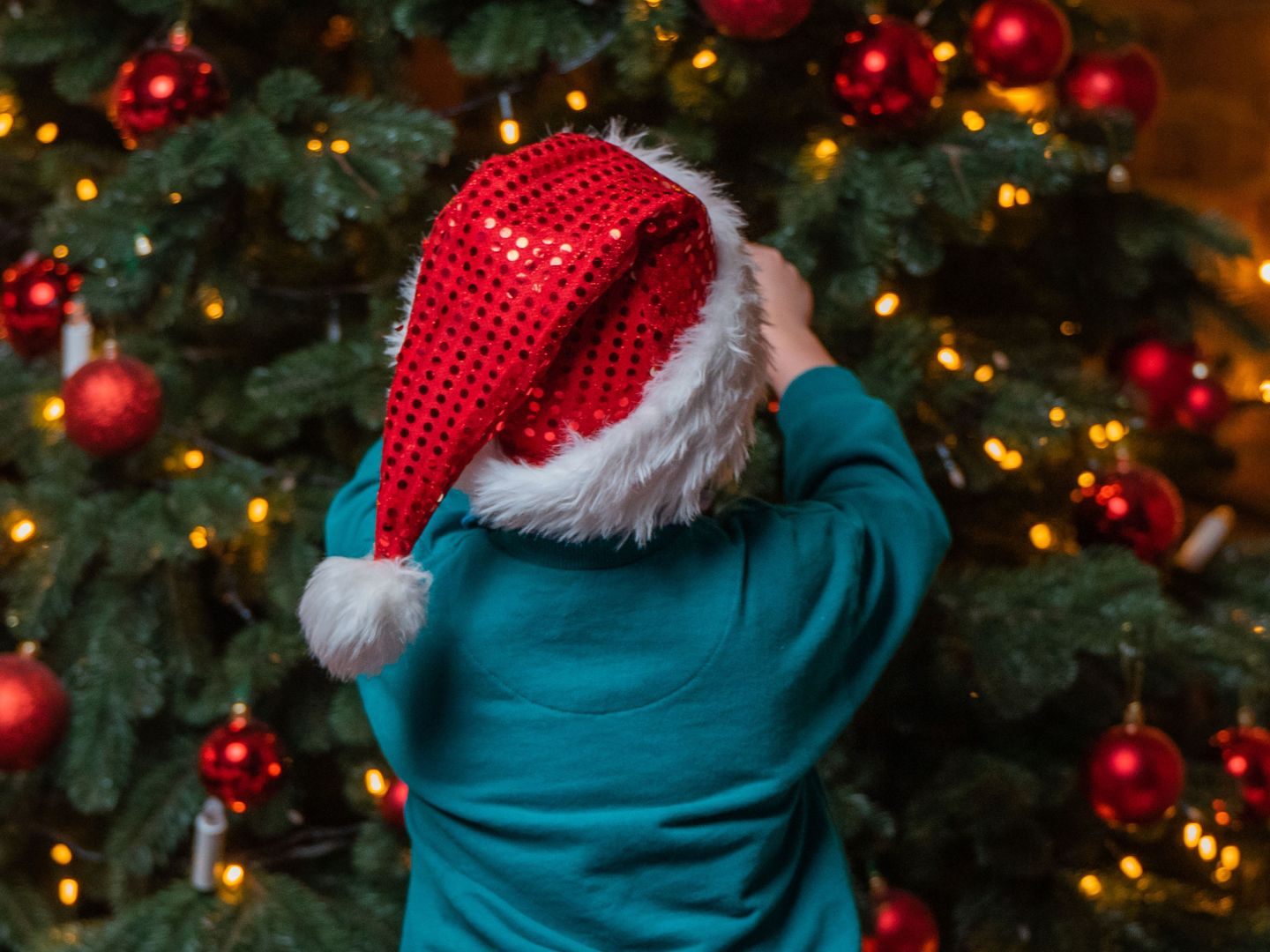 Viele Weihnachtsbäume sind voll von Giftstoffen. Viele Weihnachtsbäume sind voll von Giftstoffen.