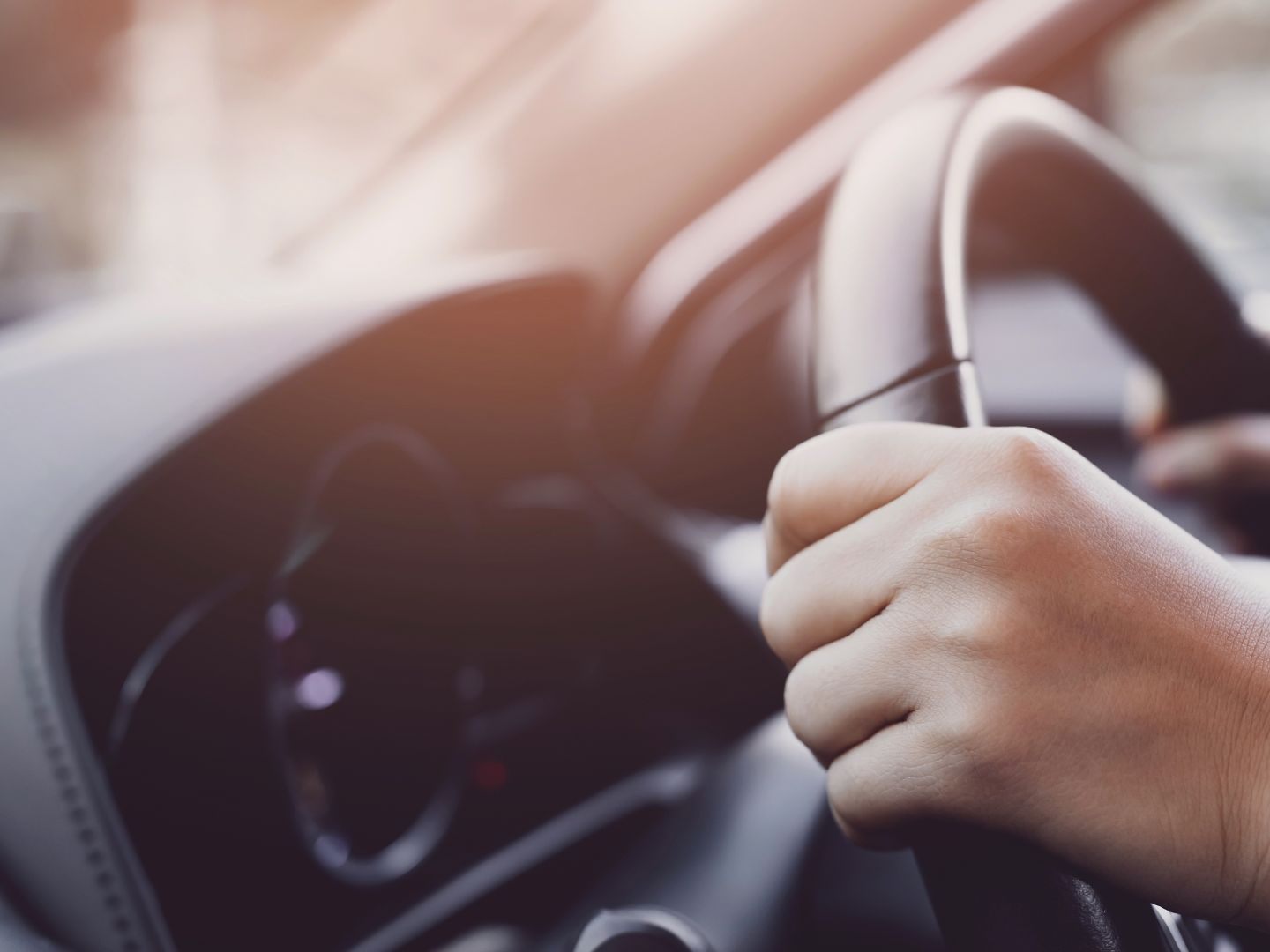 Vor allem in Wien hat der Auto-Verkehr zugenommen.