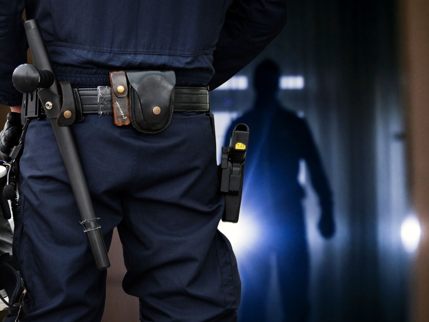 Die Polizei konnte Dienbstähle in Altach aufklären.