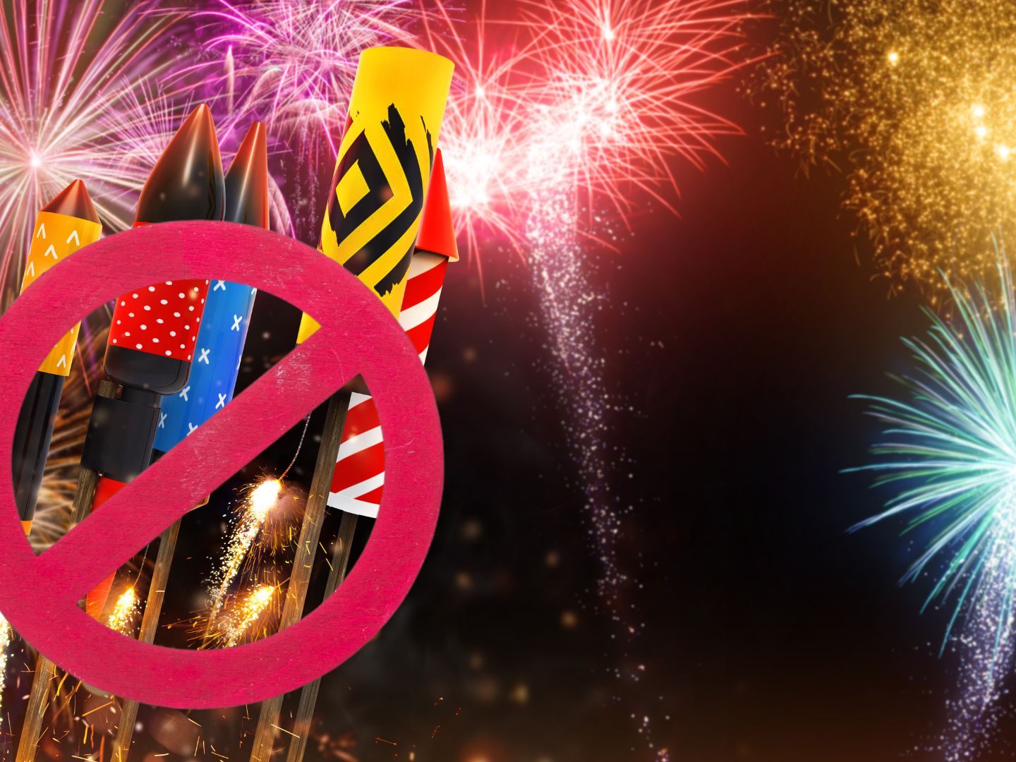 Sind Sie für ein Feuerwerksverbot?