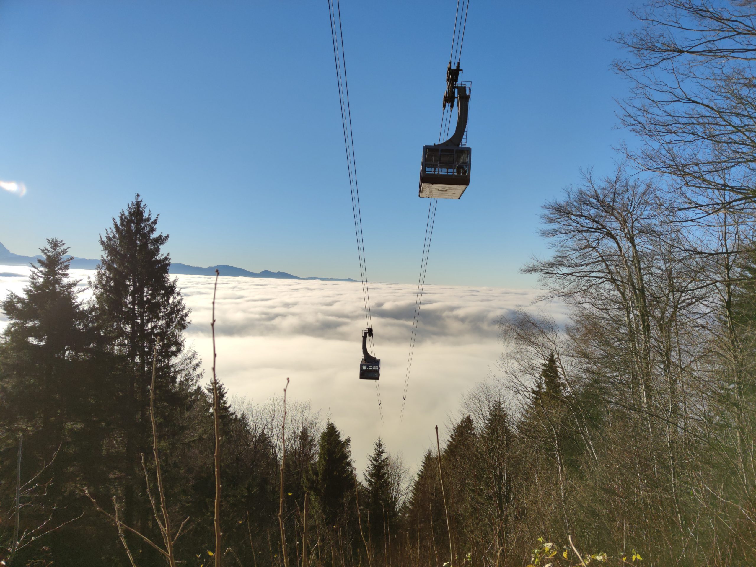 Blick über den verdeckten Bodensee auf der Wegeshälfte.