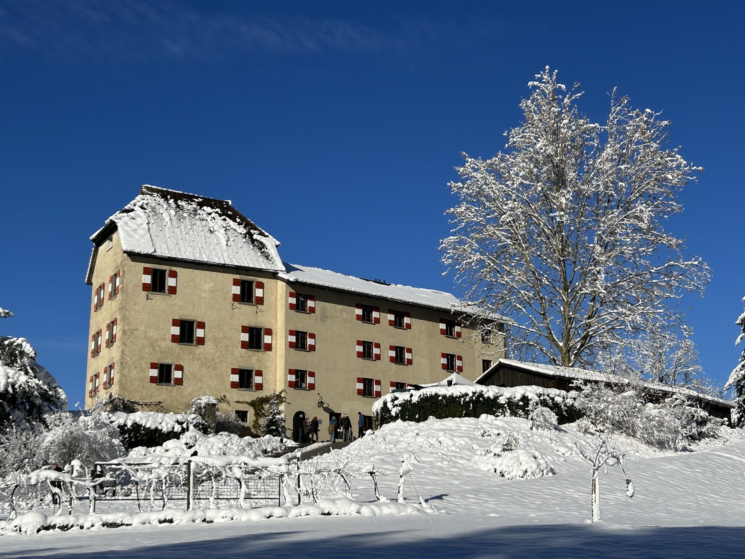 Toller Adventsmarkt auf Schloss Amberg.