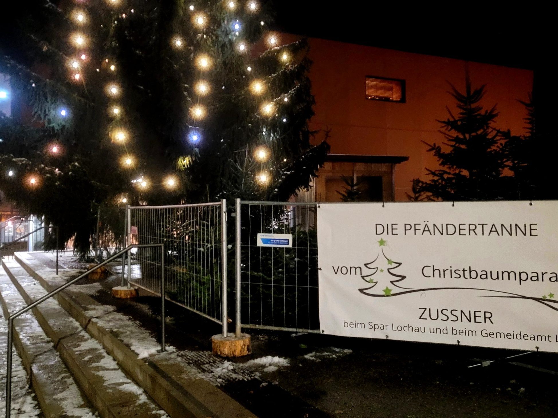Alljährlich vor Weihnachten haben die Lochauer die willkommene Gelegenheit, sich hier im Ort einen heimischen Baum aus dem „Christbaumparadies Zußner“ zu besorgen.