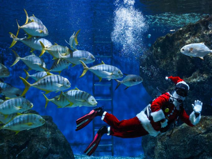 Was macht dieser Weihnachtsmann unter Wasser? Was macht dieser Weihnachtsmann unter Wasser?