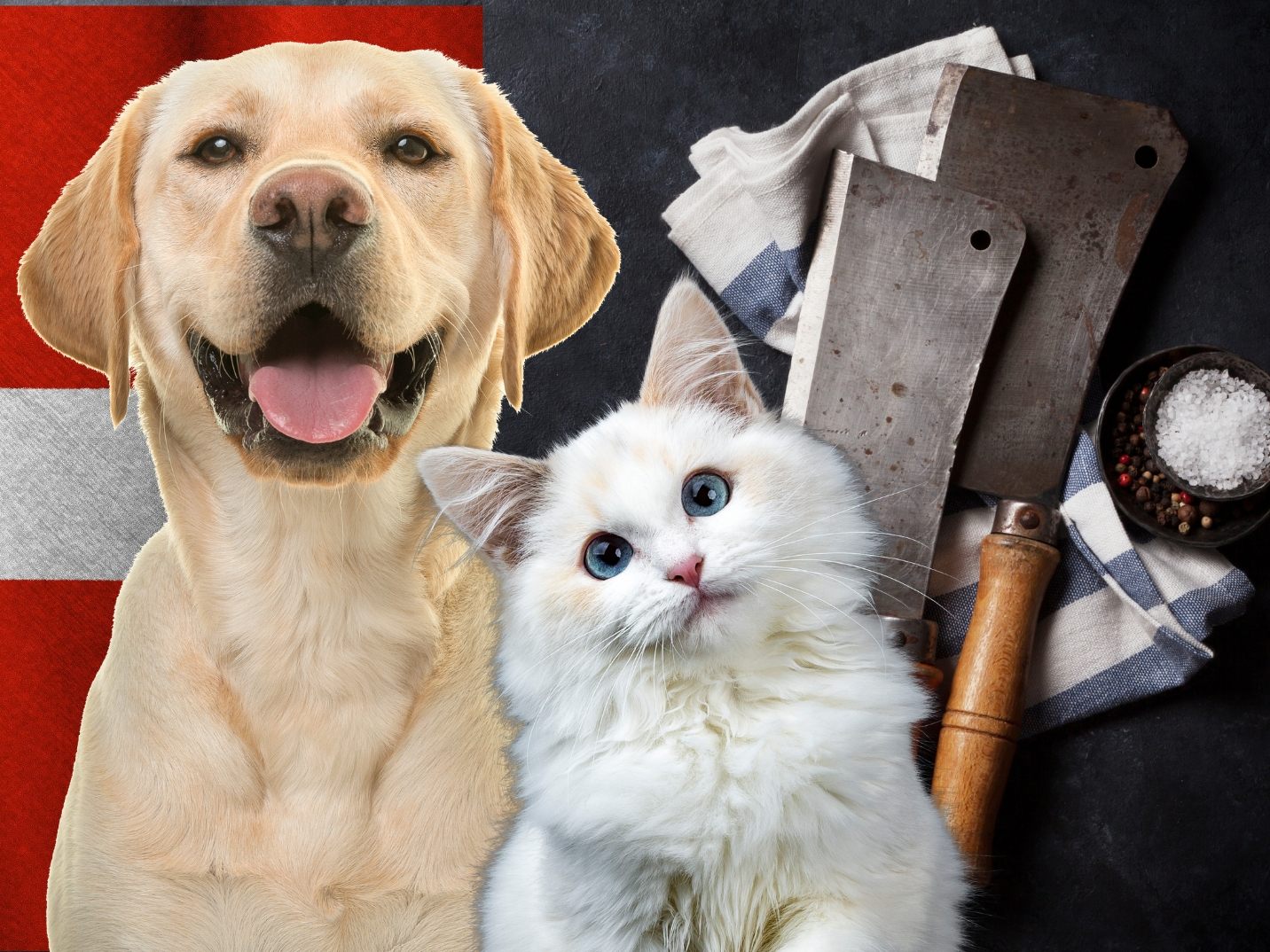 In der Schweiz ist es nicht illegal, Hunde und Katzen zu verzehren.