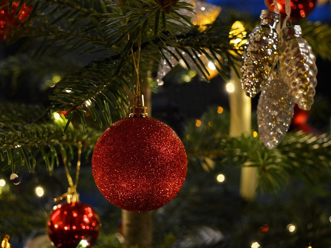 Für 66 Prozent gibt es kein Weihnachten ohne Christbaum. Für 66 Prozent gibt es kein Weihnachten ohne Christbaum.