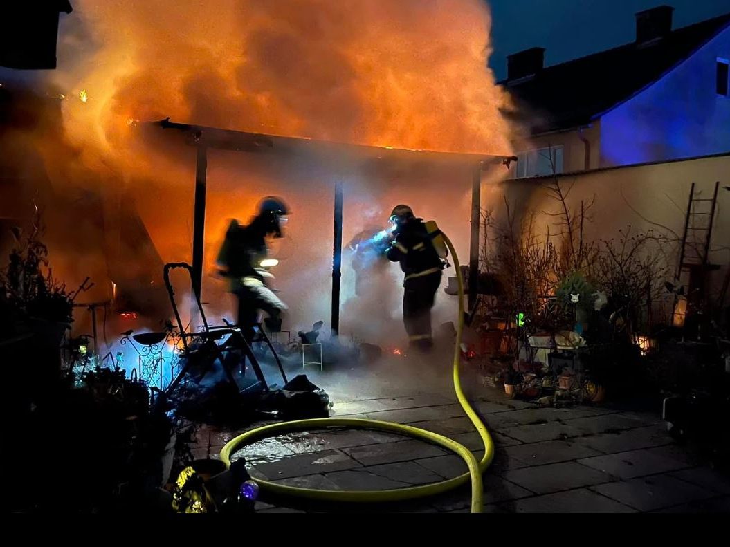 Bei einem Wohnungsbrand in Niederösterreich verendete eine Katze.