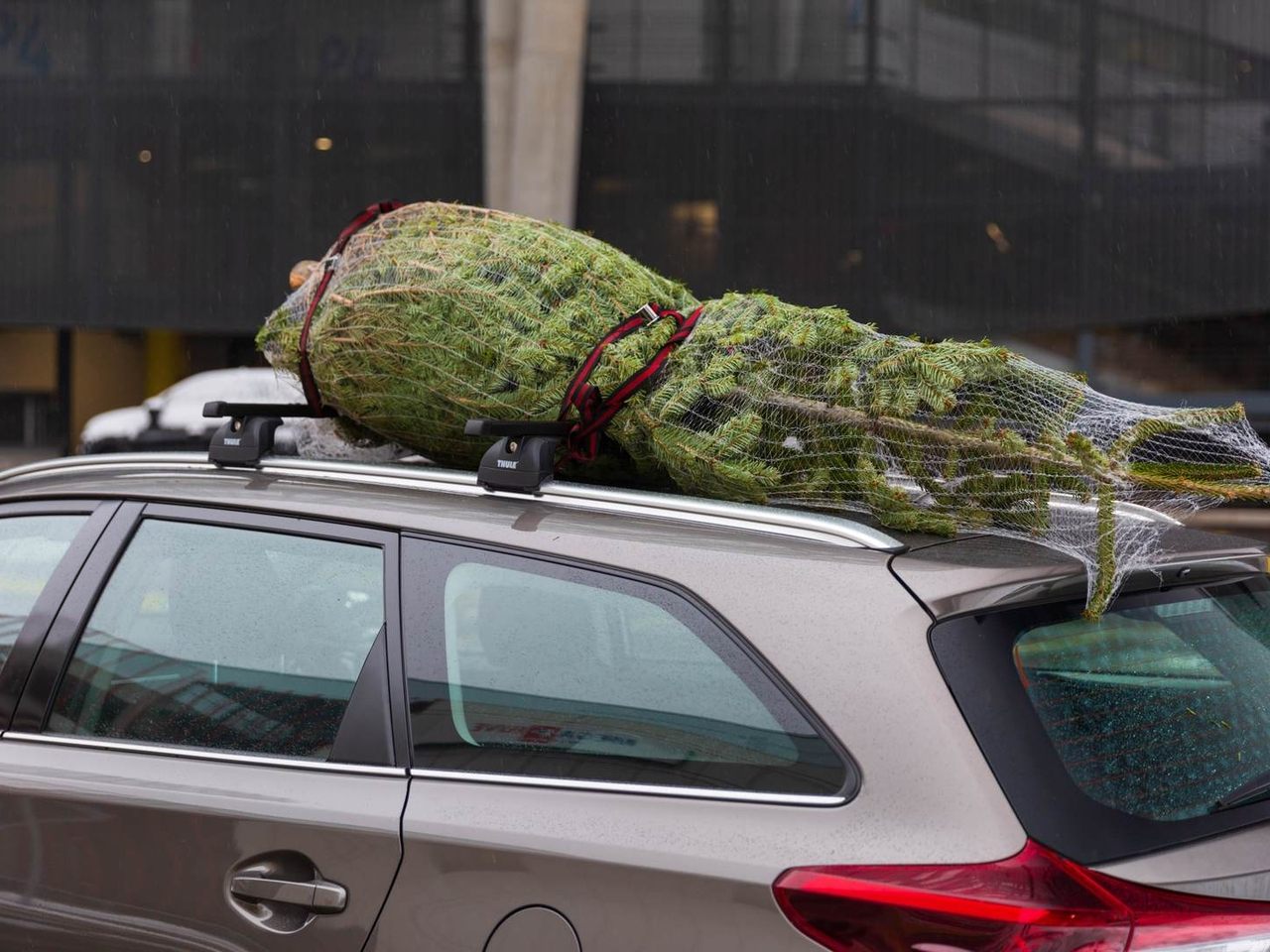 Bei falscher Sicherung des Christbaums drohen saftige Geldstrafen.