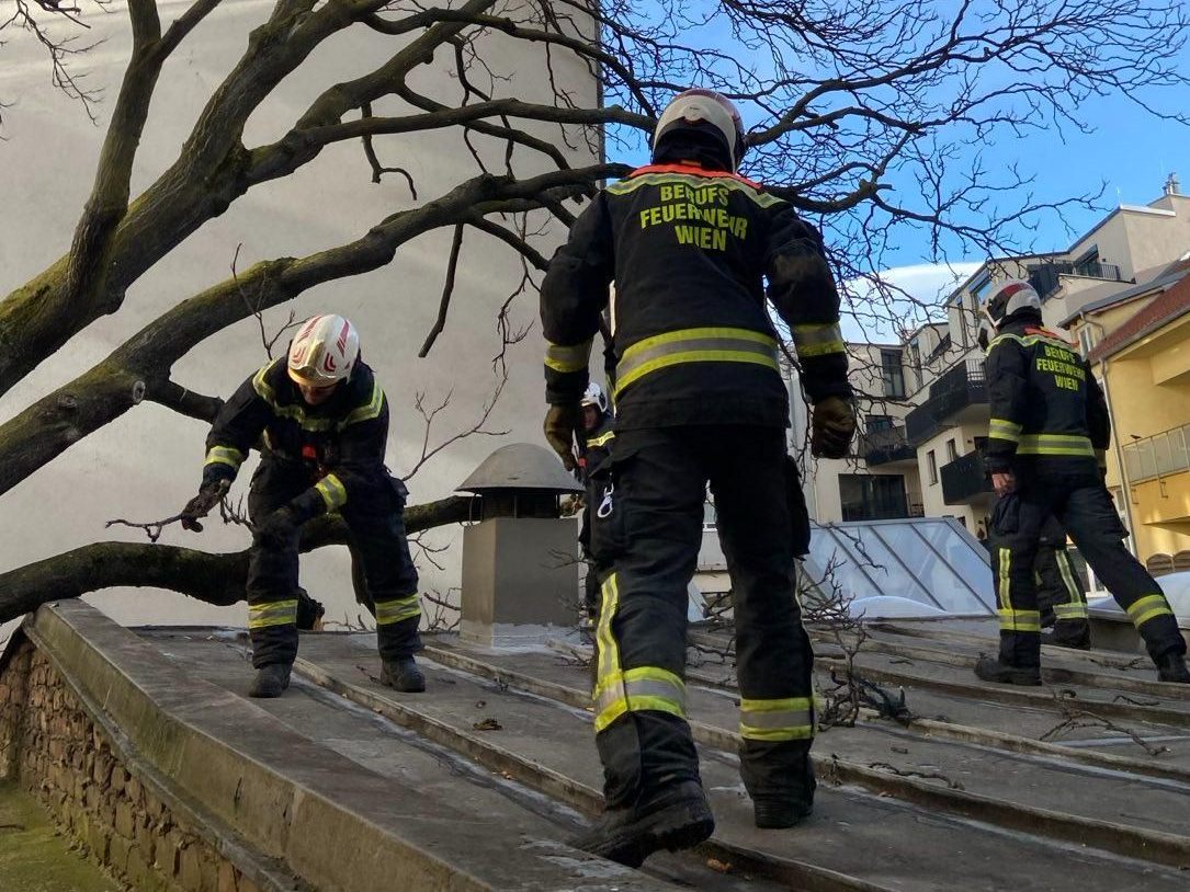 Die Wiener Berufsfeuerwehr war durch den Sturm gefordert. Die Wiener Berufsfeuerwehr war durch den Sturm gefordert.