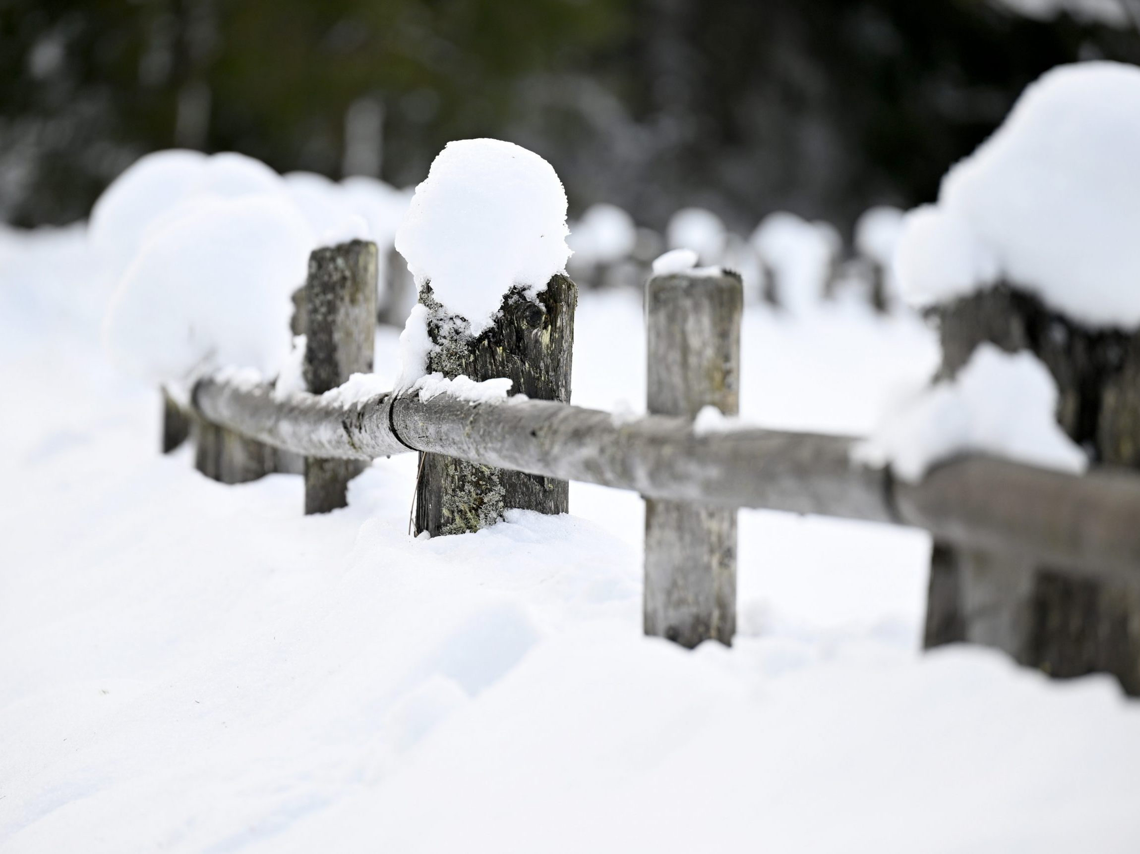 Der Dezember 2023 brachte vergleichsweise viel Niederschlag.