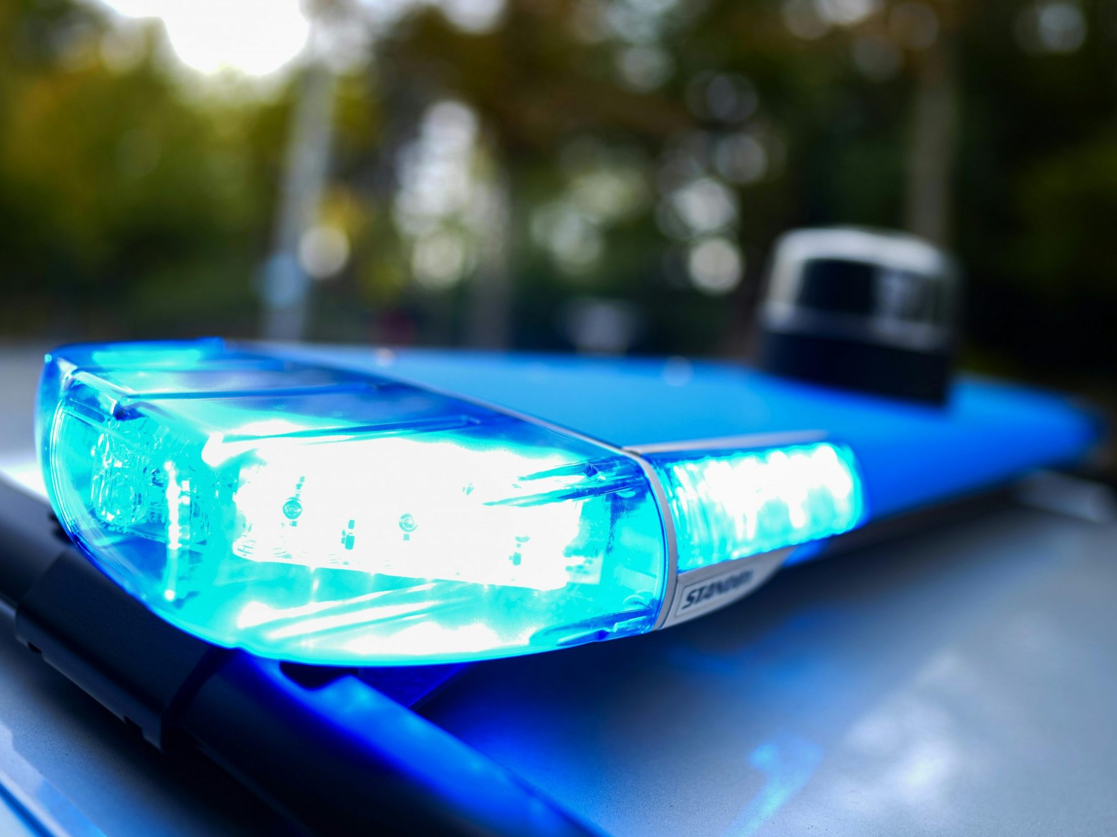 Die Wiener Polizei zog Bilanz über die Silvesternacht.