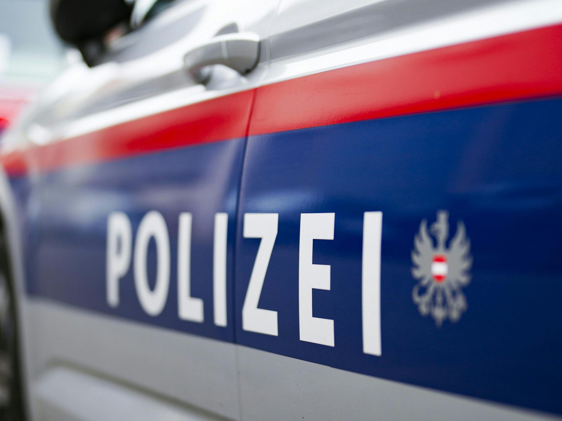 Die Polizei-Kontrolle eines PKW-Lenkers eskalierte. Die Polizei-Kontrolle eines PKW-Lenkers eskalierte.