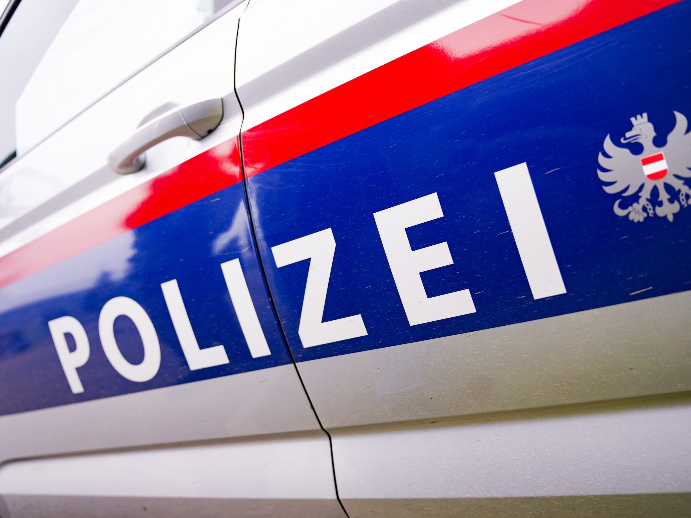 In Wien-Liesing konnten zwei Einbrecher geschnappt werden.