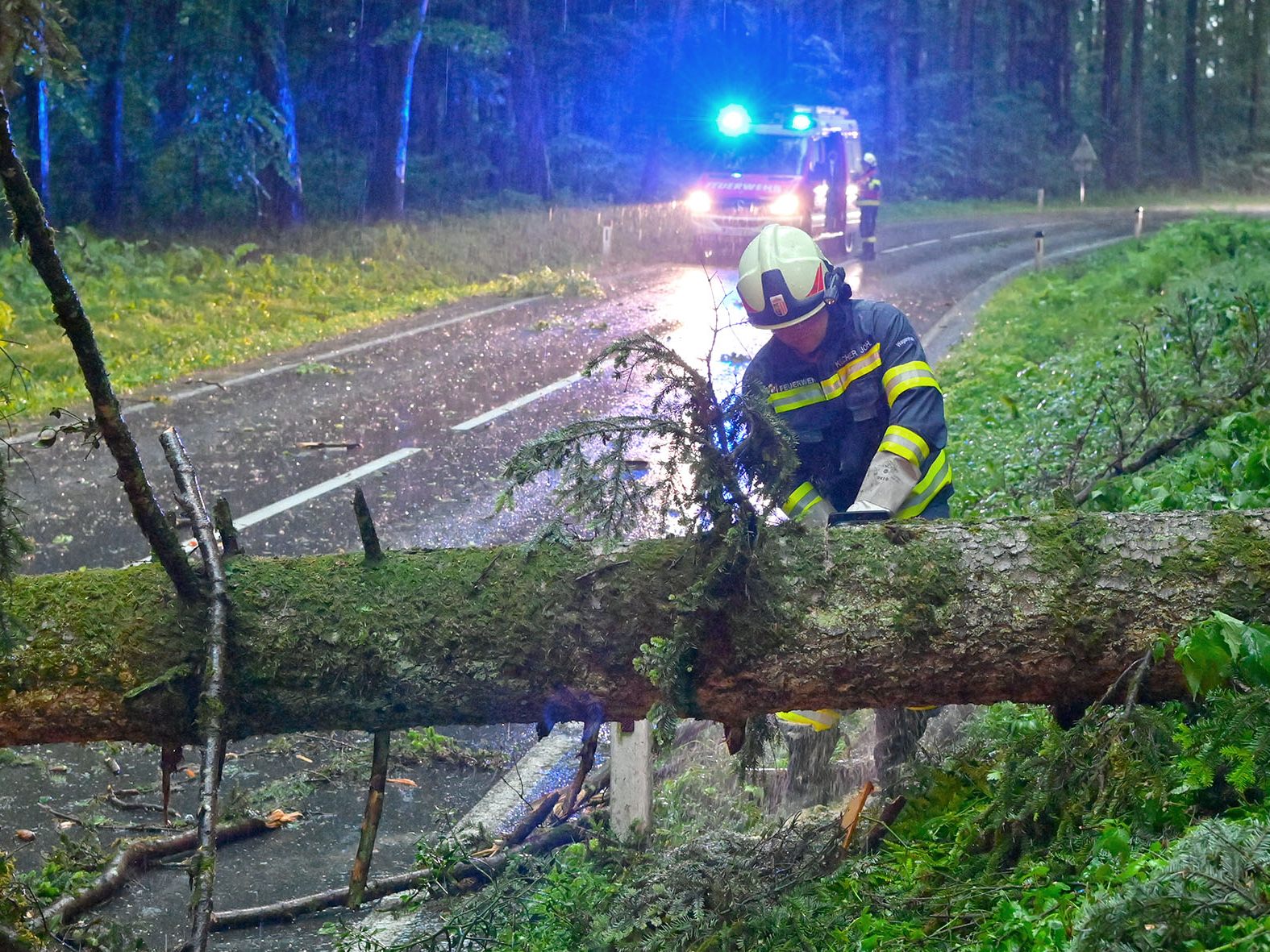 Bäume mussten von Straßen und Stromleitungen entfernt werden.