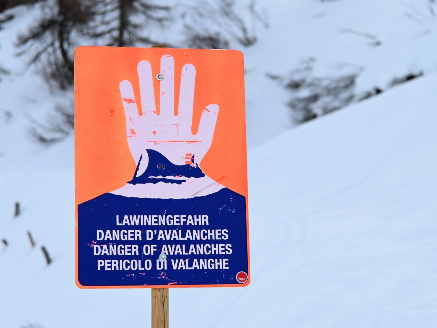 Ein Österreicher wurde bei einem Lawinenabgang in Südtirol schwer verletzt.