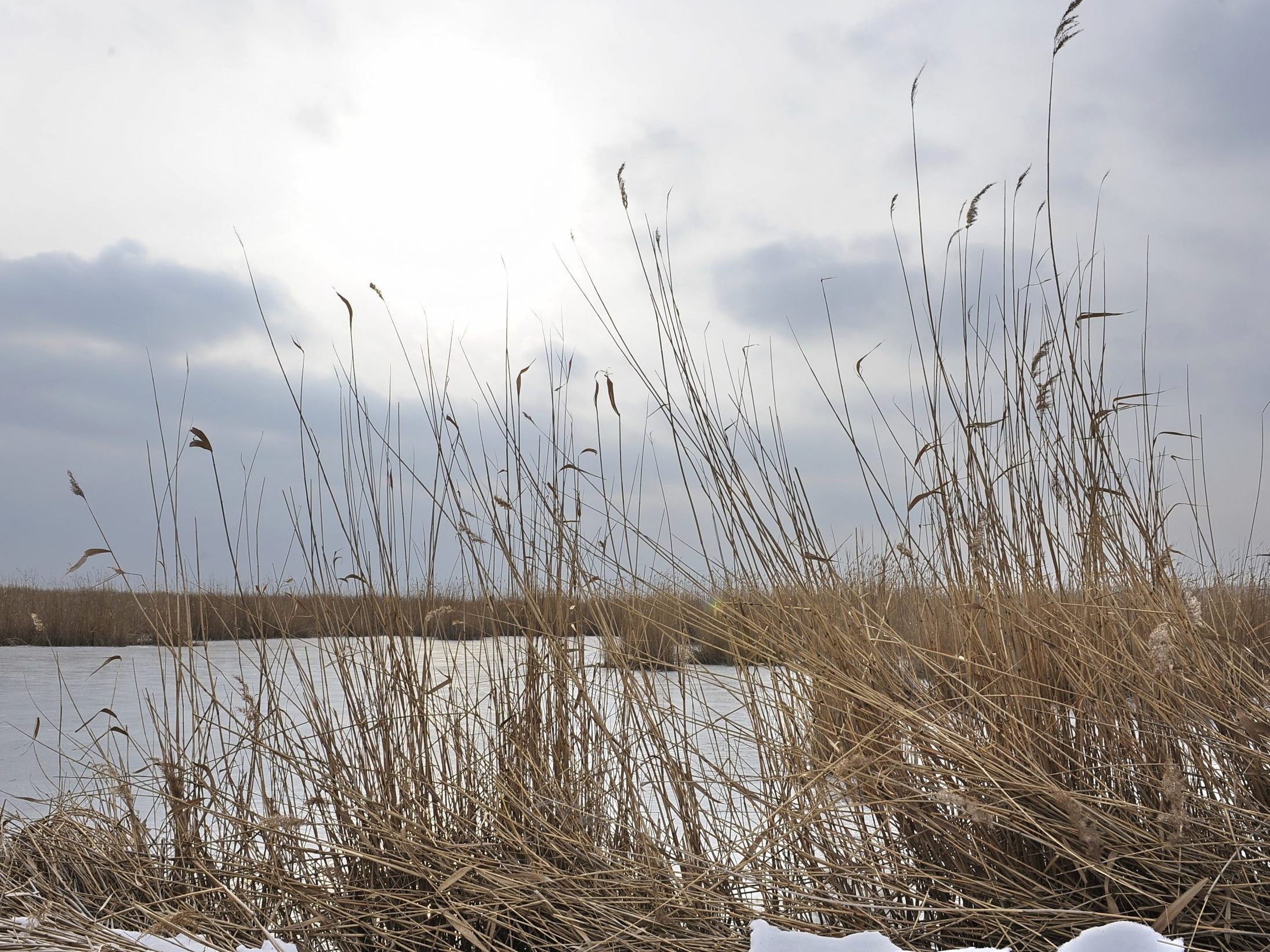 Ein vermisster Eisläufer wird gesucht.