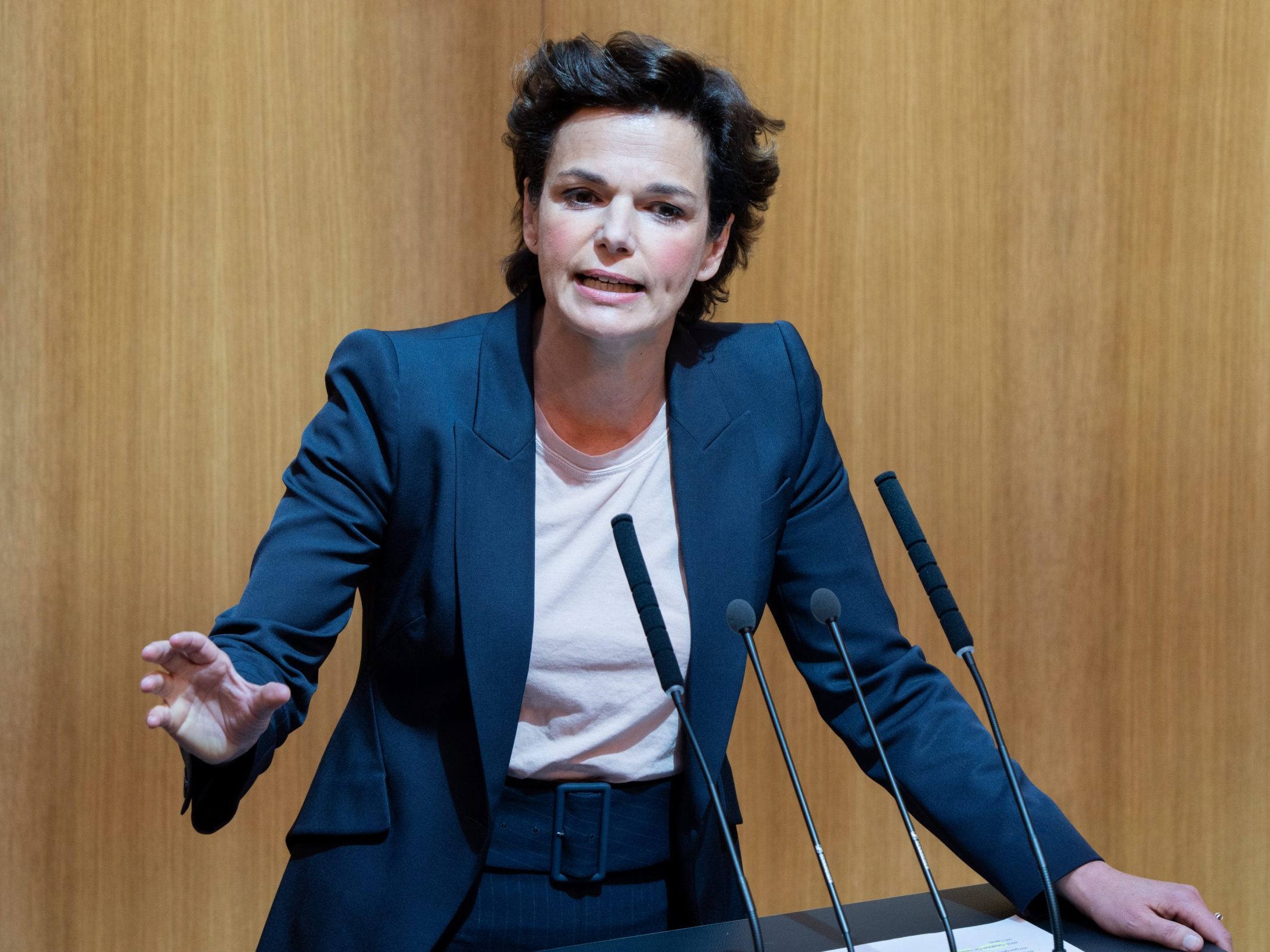 Pamela Rendi-Wagner soll sich für einen ECDC-Spitzenjob beworben haben.