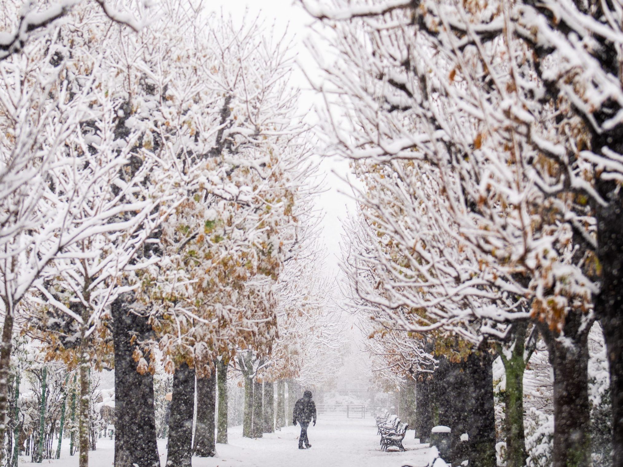 In Wien und Niederösterreich kommt es wieder vereinzelt zu Schneefall. In Wien und Niederösterreich kommt es wieder vereinzelt zu Schneefall.
