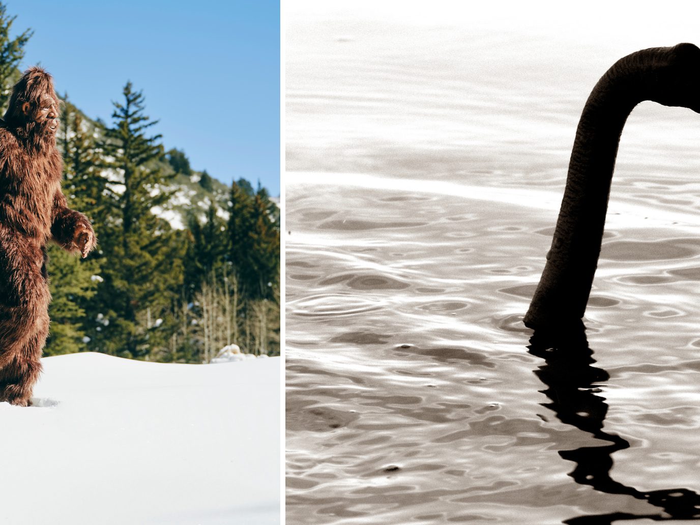 Yeti und Loch Ness: Was steckt dahinter?