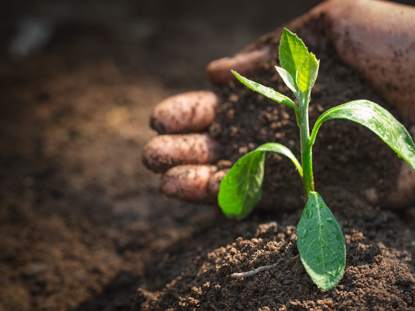 Der WWF sieht viele Projekte aus dem Koalitionspakt zum Bodenschutz "in der Warteschleife".