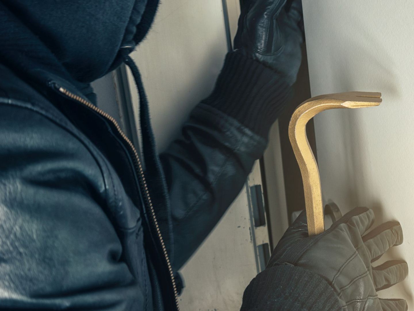 Die Bande verursachte einen Schaden von rund 50.000 Euro. Die Bande verursachte einen Schaden von rund 50.000 Euro.