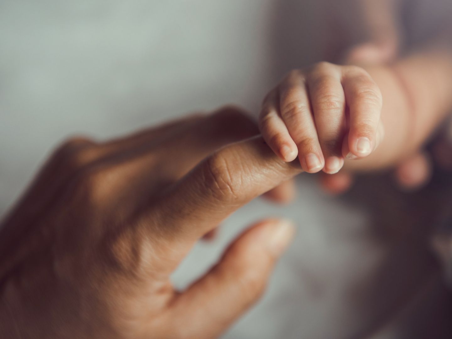 Das in einem Mülleimer gefundene Baby ist wohlauf. Das in einem Mülleimer gefundene Baby ist wohlauf.