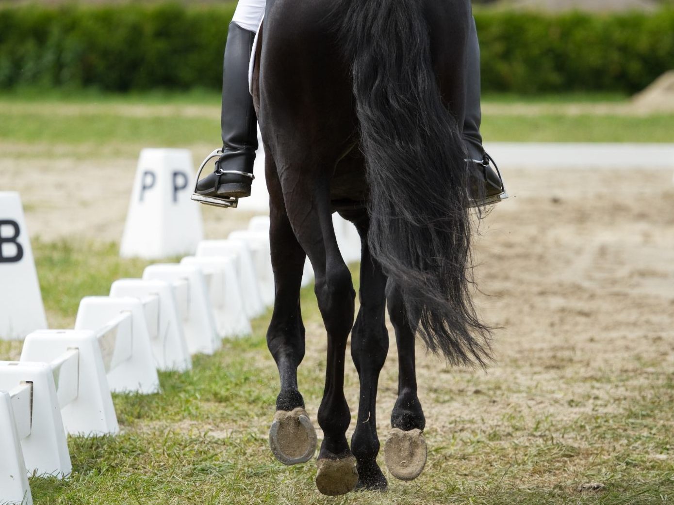 Eine 21-Jährige wurde bei einem Reitunfall in Kärnten schwer verletzt.