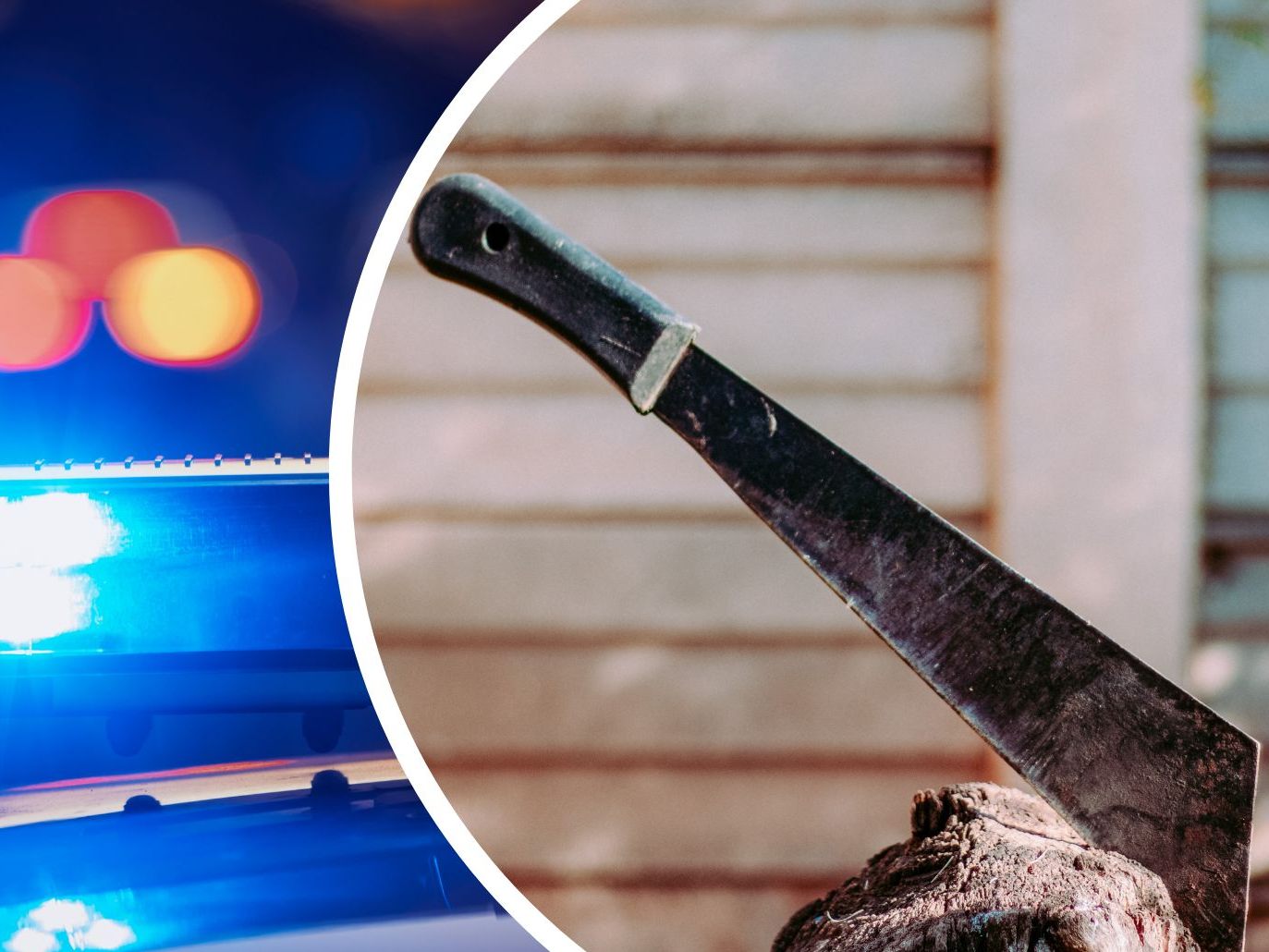 Die Polizei erschoss einen Angreifer mit einer Machete im Burgenland.