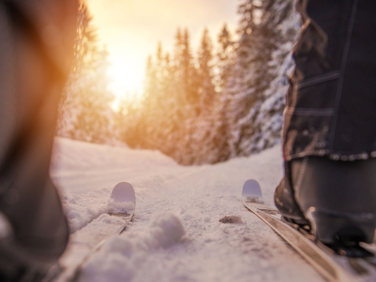 Der Skifahrer wollte zu Fuß durch ein bewaldetes Gebiet am Hochkar und stürzte dabei in den Tod.