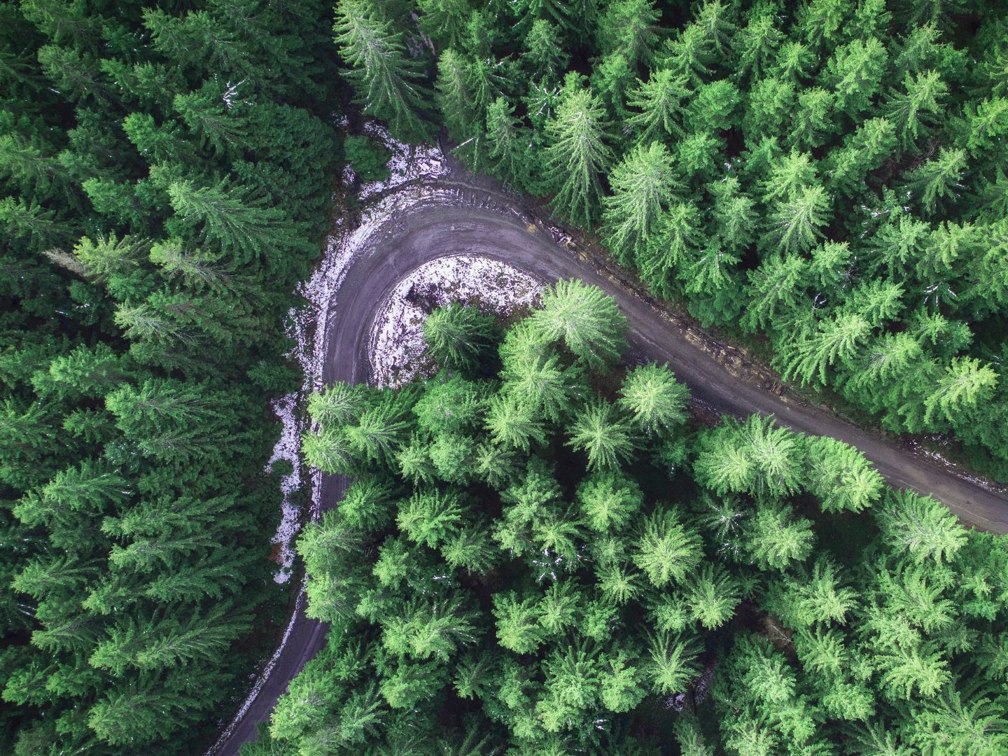 Am starken Ausbau der Forststraßen in Österreich wird Kritik geübt.