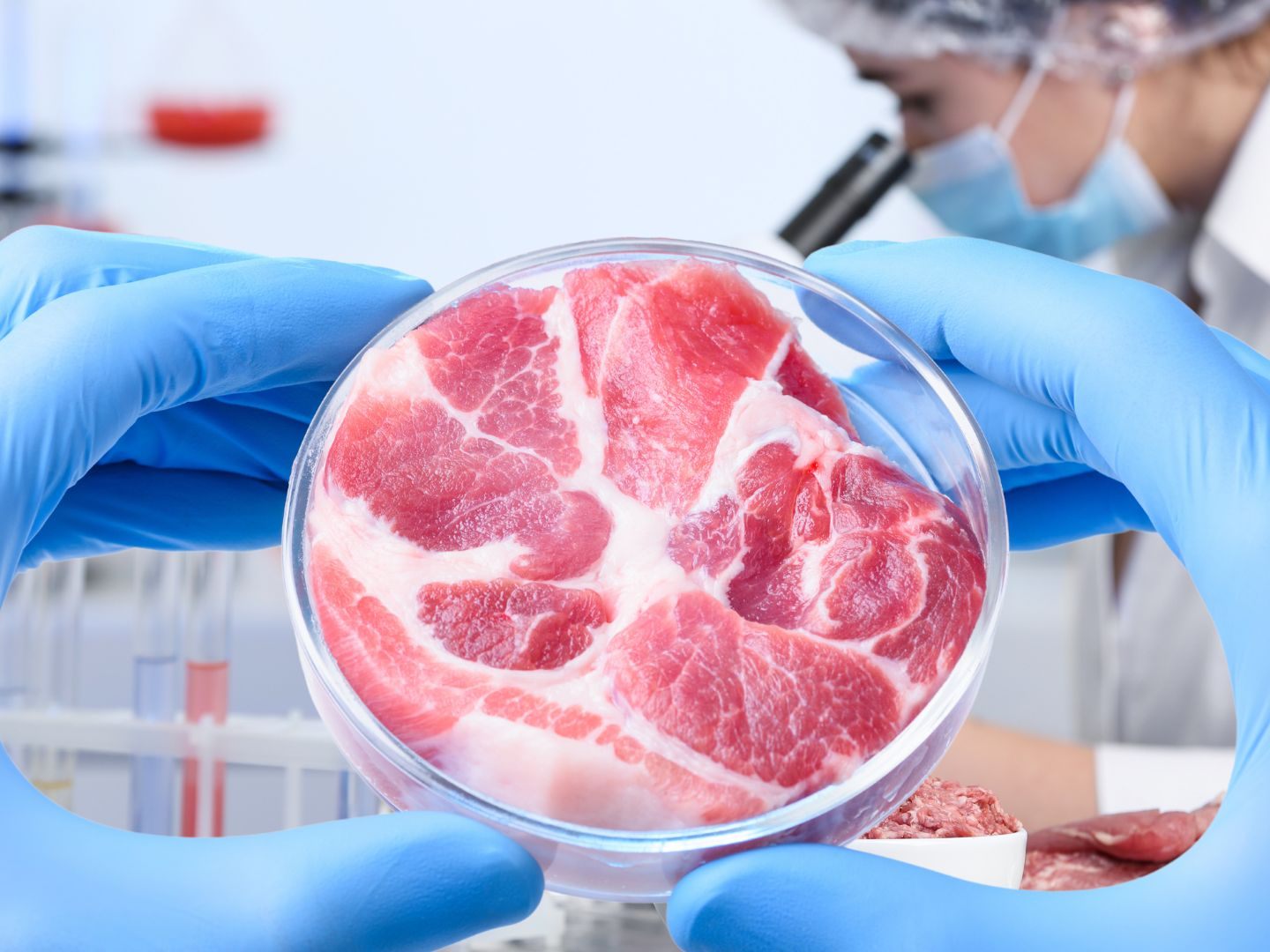 EU-Landwirtschaftsminister diskutieren über die mögliche Einführung von künstlich gezüchtetem Fleisch als Alternative in der EU.