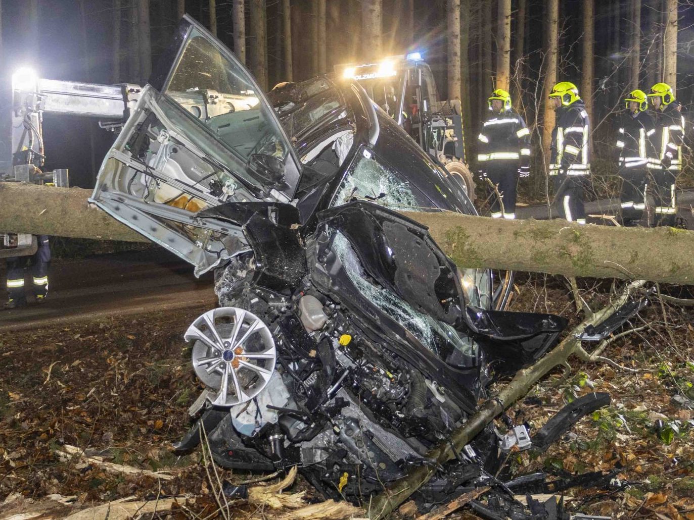 Der Stamm durchbohrte den Wagen der jungen Frau.