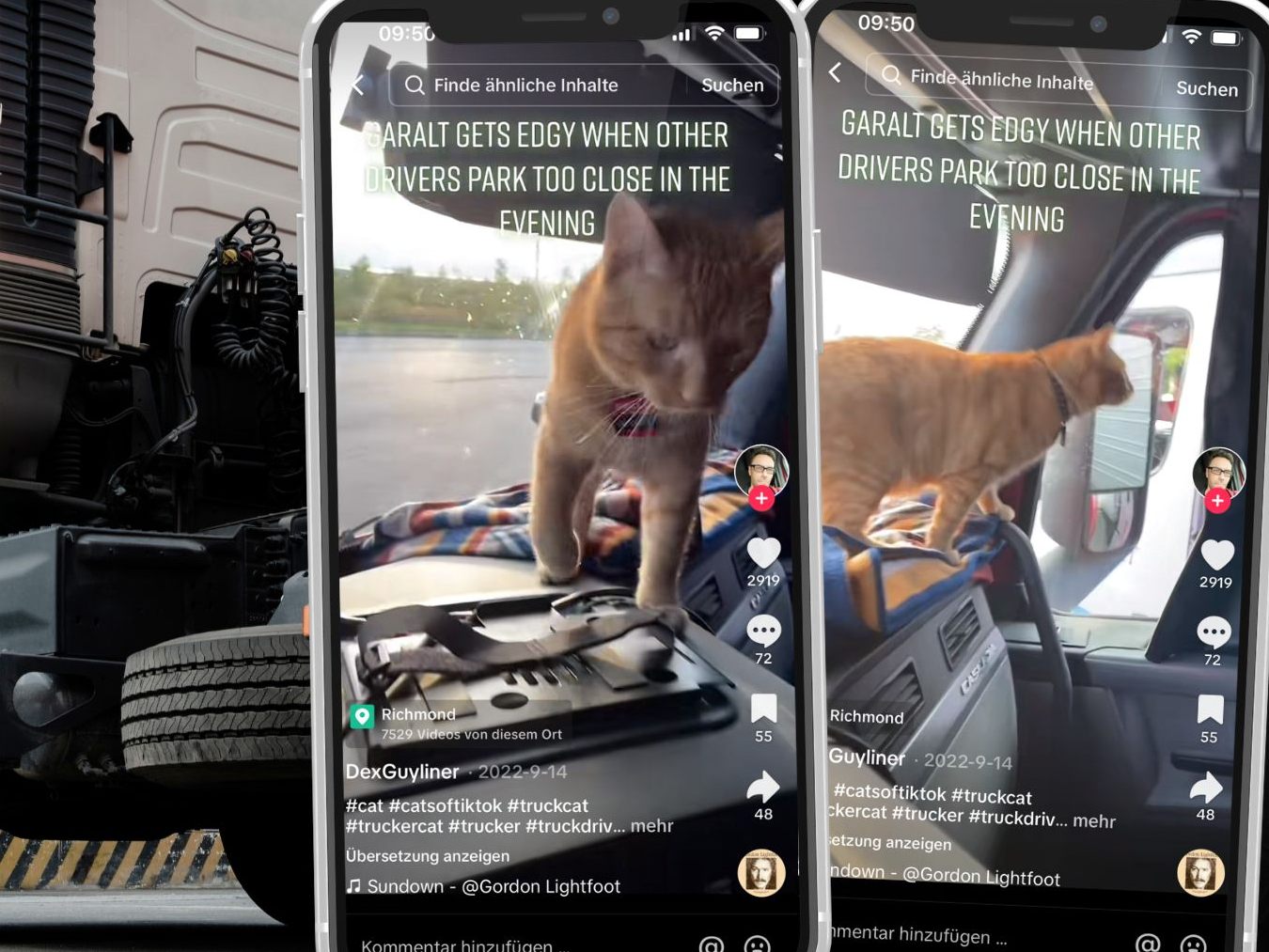 Ein Lkw-Fahrer und seine Katze erobern die Straßen und Herzen.