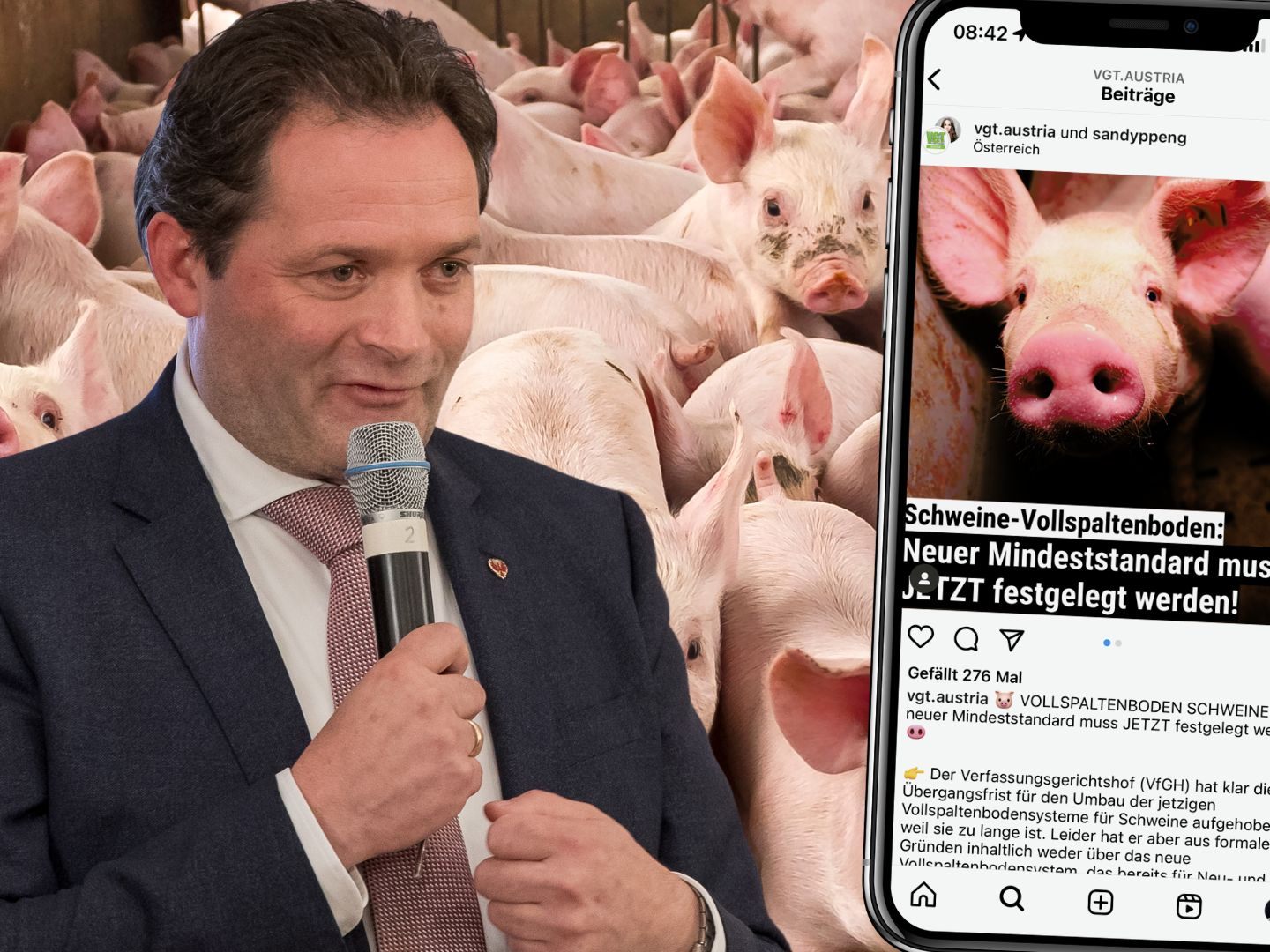 Bei einer Pressekonferenz stellt Landwirtschaftsminister Norbert Totschnig sich der Frage nach einem früheren Verbot des Vollspaltenbodens in der Schweinehaltung, ein Thema, das vom Verfassungsgerichtshof aufgeworfen wurde. Bei einer Pressekonferenz stellt Landwirtschaftsminister Norbert Totschnig sich der Frage nach einem früheren Verbot des Vollspaltenbodens in der Schweinehaltung, ein Thema, das vom Verfassungsgerichtshof aufgeworfen wurde.