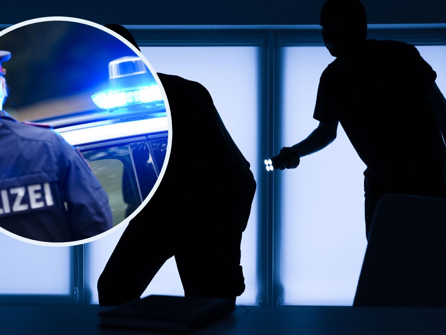 Tatverdächtige in U-Haft Tatverdächtige in U-Haft